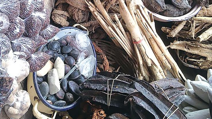 Allow Us Practise Traditional Medicine, Ogboni Fraternity Urges Government 1 IMG 4310