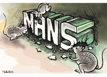 NANS: A-looter Stoppay!