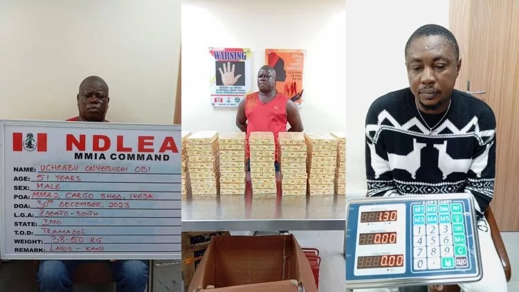 NDLEA Arrests Qatar Businessman, Others For Drug Smuggling, Seizes Cannabis, Tramadol 1 ND1 jpg
