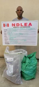 NDLEA