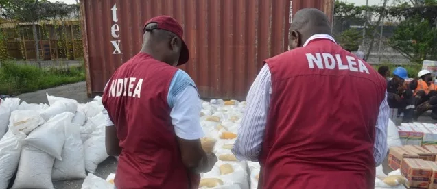 NDLEA Arrests 1,016, Seizes 9 Tons of Illicit Drugs In Kano 1 NDLEA jpg
