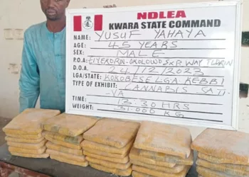 NDLEA Intercepts Illicit Drug Shipment To Bandits