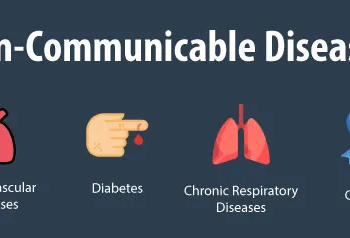 Non-communicable Diseases: Stakeholders Task FG On Development, Enforcement Of Salt Targets