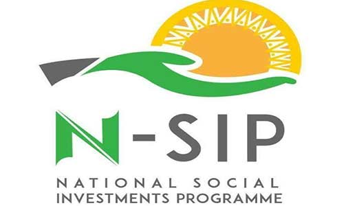 NSIPA Assures Transparency In $800m Conditional Cash Transfer Distribution 1 NSIP