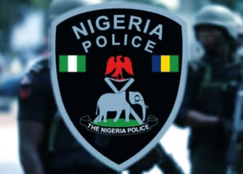 Hoodlums Kill 2 Vigilantes In Anambra Night Club