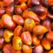 Making Extra Income From Palm Oil Storage Business