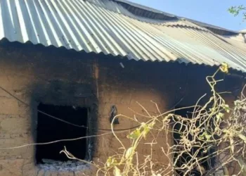 CAN Condemns Plateau Killings, Calls For Proactive Peace Efforts