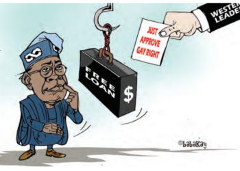 Tinubu Should Avoid Gay Trap