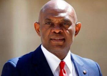 COP28: Elumelu Leads Drive For Equitable Climate Action For Africa