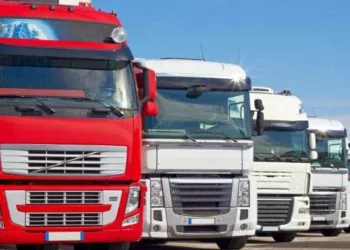 Truck Drivers Responsible For Traffic On Port Access Road – TTP
