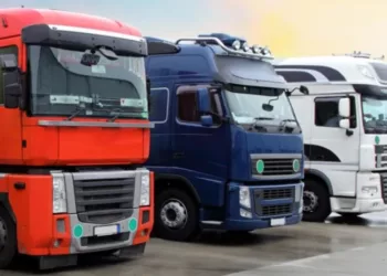 Truck Drivers Responsible For Traffic On Port Access Road – TTP