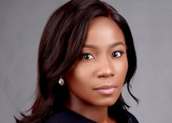 FG Seeks Stronger Collaboration For Sustainable Energy Development