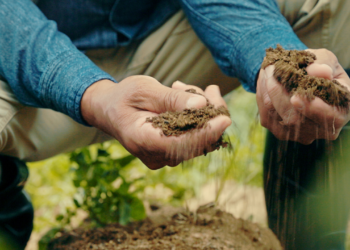 Experts Urge Focus On Soil Health To Boost Food Production