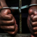 Fake Car Buyer Jailed For N1.7m Test Drive Theft In Abuja 19 Fake Car Buyer Jailed For N1.7m Test Drive Theft In Abuja