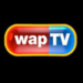 WAPTVCHANNEL Hits 200m Views On YouTube