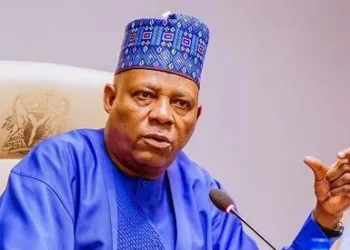We Must Form Global Alliances To End External Aggressions, Domestic Threats – Shettima
