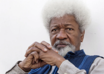Agunloye: Soyinka Demands Detention Of All Alleged Culprits In Mambilla Scam