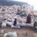 Tragic Crash On Kaduna-Abuja Expressway Claims 4 Lives, Injures 59 5 Tragic Crash On Kaduna-Abuja Expressway Claims 4 Lives, Injures 59