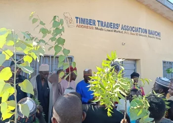 Bauchi Timber Sellers Protest Maltreatment, Shut Markets Indefinitely
