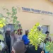 Bauchi Timber Sellers Protest Maltreatment, Shut Markets Indefinitely 5 Bauchi Timber Sellers Protest Maltreatment, Shut Markets Indefinitely