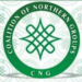 Northern Groups Urge Recall Of Sen Yar’Adua Over Remarks On Kaduna Bombing 5 Northern Groups Urge Recall Of Sen Yar’Adua Over Remarks On Kaduna Bombing