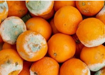 11 Pupils Hospitalised Over Contaminated Meal In Osun