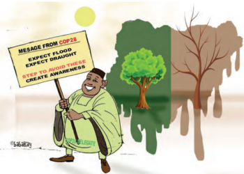 COP28 Is Over, What Next?