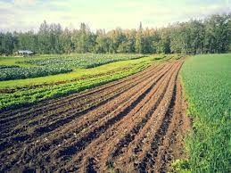 Leasing Land For Farming 1 download 11