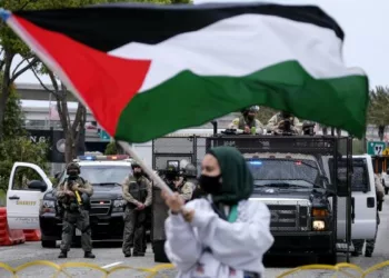 Palestine: Help Those In Need