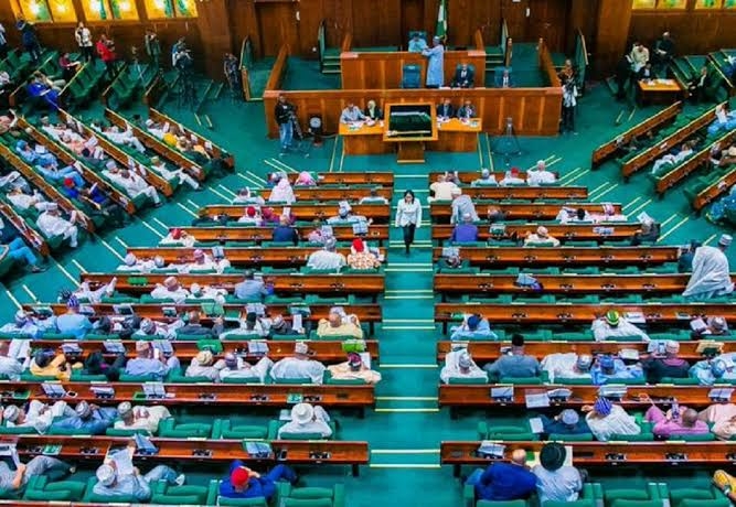 The Nigerian House of Representative In a Session