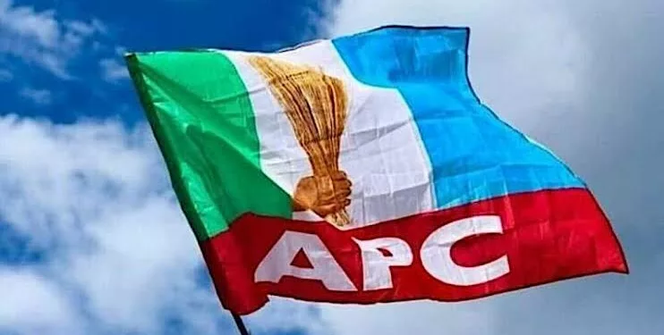APC logo flag