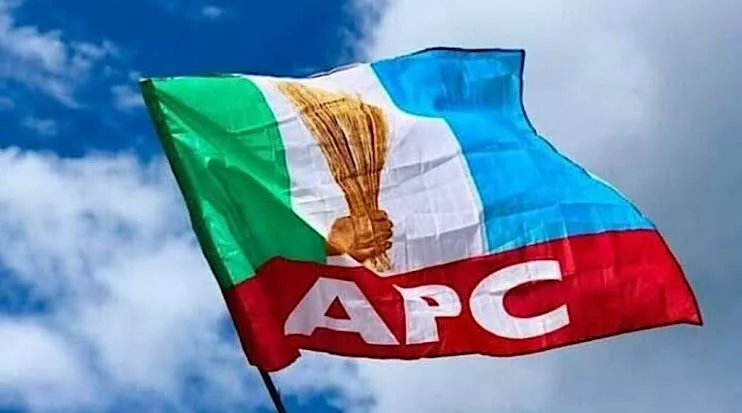 APC logo flag