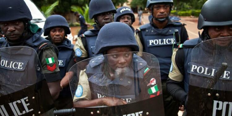 Nigerian Police in action