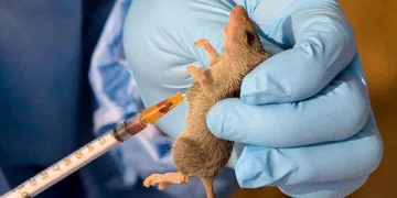 police Lassa Fever: A Preventable Epidemic