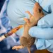 Lassa Fever: A Preventable Epidemic