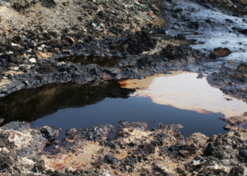 Ogoniland Gives Condition For Oil Production