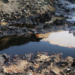 Ogoniland Gives Condition For Oil Production