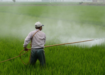 Expert Warns on Pesticide Policy Failings, Health Risks