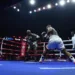 NBF Boss Lauds Celebrity Boxing Match 5 NBF Boss Lauds Celebrity Boxing Match