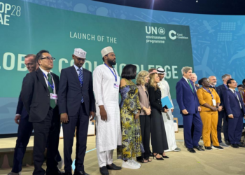 COP28: Nigeria Committed To Clean Cooling, ECN DG Assures World Leaders