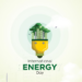 2023 World Energy Day: Stakeholders Harp On Innovation For Inclusive Energy