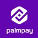 PalmPay Urges Users To Update BVN, NIN As Unverified Wallets Risk Closure From Jan 31 5 PalmPay Urges Users To Update BVN, NIN As Unverified Wallets Risk Closure From Jan 31