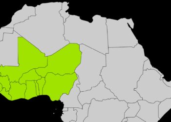 ‘Sahel Nations Withdrawal From ECOWAS Will Stunt Africa’s Growth, Development’