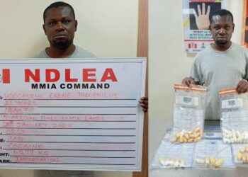 PICTORIAL: NDLEA Arrests Brazil Returnee, Others For Drugs, Declares Ex-Beauty Queen Wanted