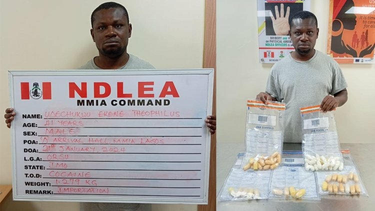 PICTORIAL: NDLEA Arrests Brazil Returnee, Others For Drugs, Declares Ex-Beauty Queen Wanted 1 1f859a2d 47bb 484c ba3a 3c2d664b6823