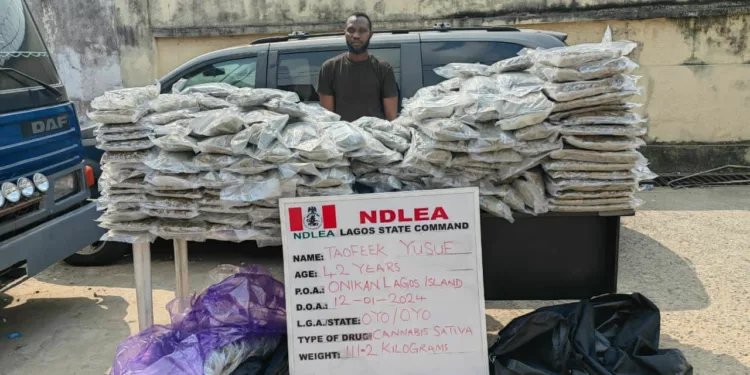 NDLEA