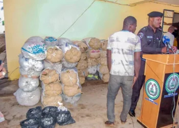 Police Nab Man With 45 Bags Of Cannabis, Other Substances