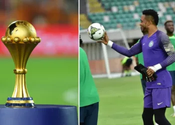 AFCON 2023: Adisa Worries Over Eagles’ Goalkeeping Challenges