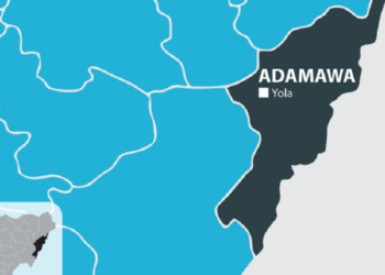 Adamawa, IRC To End Malnutrition Among 34,000 Children