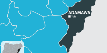 Adamawa, IRC To End Malnutrition Among 34,000 Children